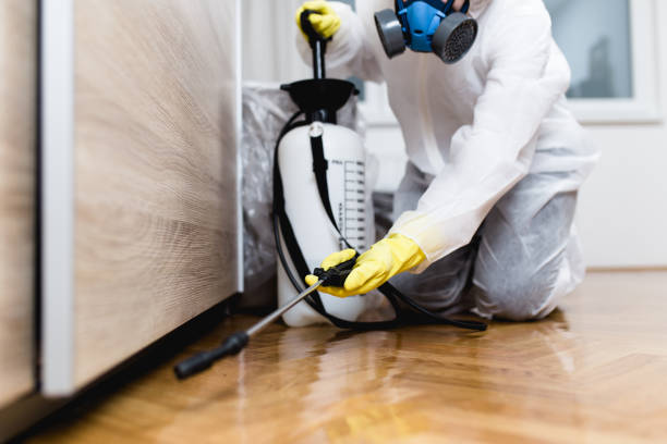 Best Rat Extermination Near Me  in Monte Sereno, CA