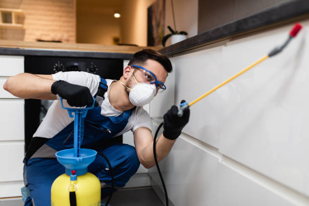 Best Local Pest Control Services  in Monte Sereno, CA