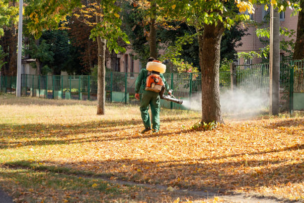 Pest Control Cost in Monte Sereno, CA