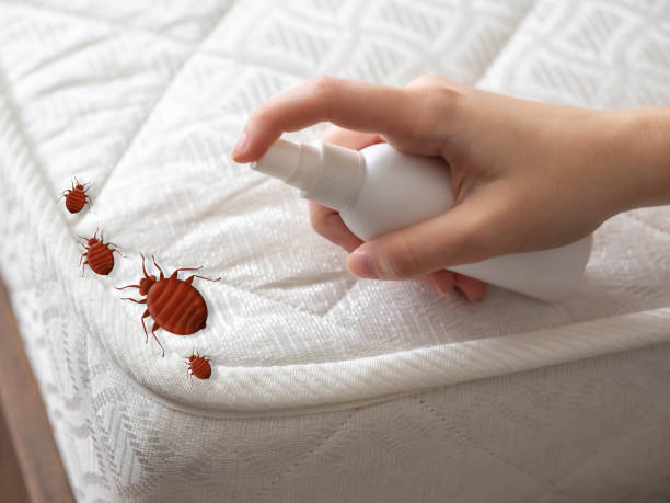 Best Affordable Pest Control Services  in Monte Sereno, CA