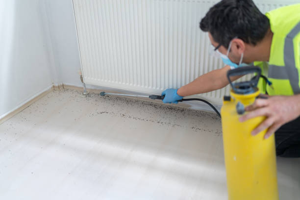 Best Residential Pest Control  in Monte Sereno, CA