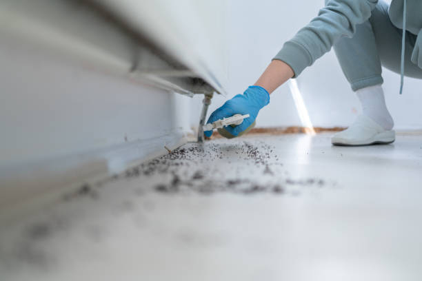 Best Best Pest Control Companies  in Monte Sereno, CA