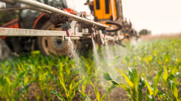 Pest Control Cost in Monte Sereno, CA