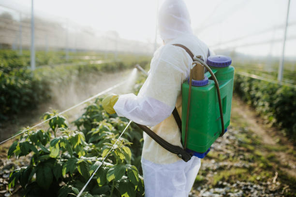 Best Commercial Pest Control Services  in Monte Sereno, CA